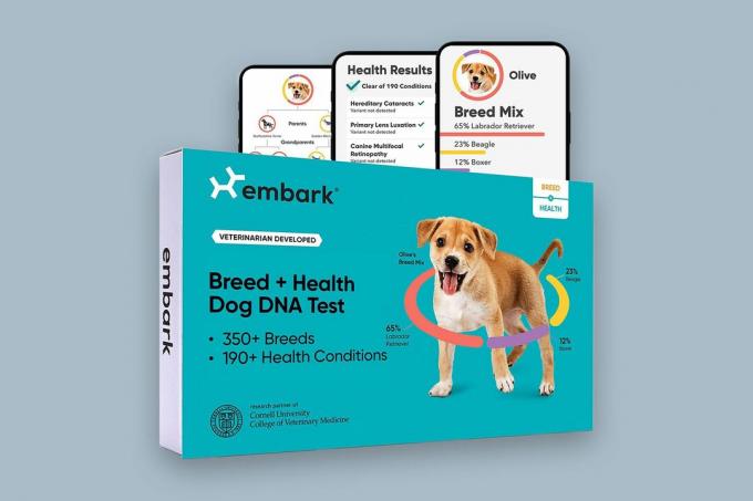 צא לבדיקת DNA של כלב 