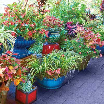 Rastliny a kvety na nádvorí Roba Proctora