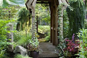 Into the Woods for a lot Turned in Magical Garden Rooms