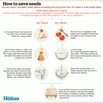כיצד לשמור זרעים