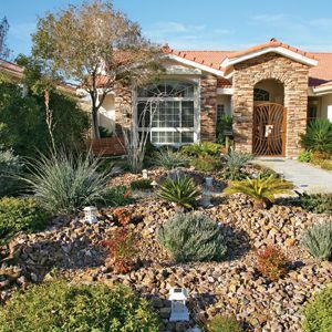 < p> Kontantrabatter hjelper huseiere i Las Vegas-området med å erstatte gressplenene med hardføre, tørkebestandige planter og steinhager. </p>
