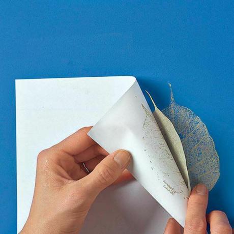 < p> For at få et lacy look skal du øve dig på papir, inden du flytter til væggen. Juster mængden af ​​maling - og tryk - indtil du får et look, du kan lide. </p>