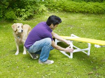 Sådan bygger du et DIY Dog Agility Course
