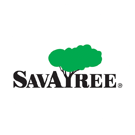 SavATree - Logotyp för trädservice och gräsmatta