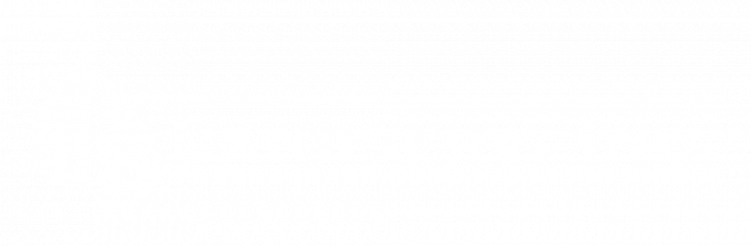 Λογότυπο Landserv, Inc