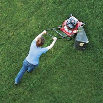 Како пронаћи најбољу гумену косилицу за ваш травњак