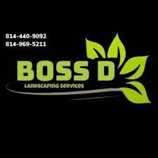 Boss D maastiku logo