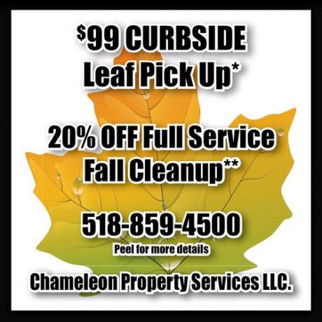 Logotip Chameleon Property Services LLC