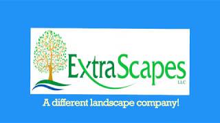 Logotip ExtraScapes LLC