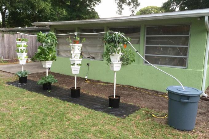 En hydroponisk hage med dryppsystem installert i et hjem i Florida