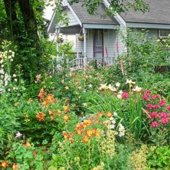 Le migliori piante per un giardino in cottage