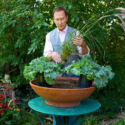 Rob Proctor zoskupuje záveje rastlín