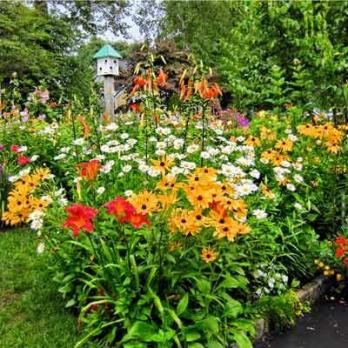 En hage går fra smussoppdatering til flerårig paradis