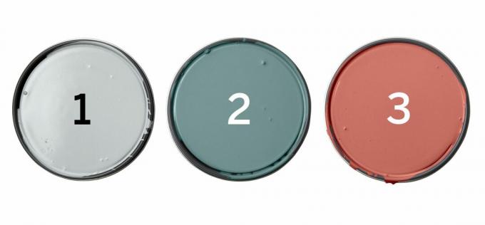 Benjamin Moore Paints: Palace Pearl; Williamsburg Wythe Blue; Claret