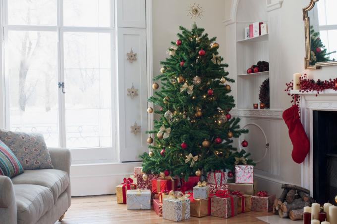 עץ חג המולד מוקף מתנות. 
