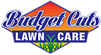 Biudžeto sumažinimai, LLC logotipas