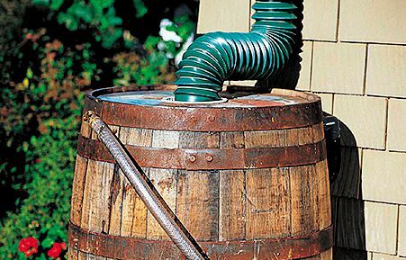 < p>< strong> Real Oak Rain Barrel</strong> (45 galloni), $ 149, gardeners.com</p>